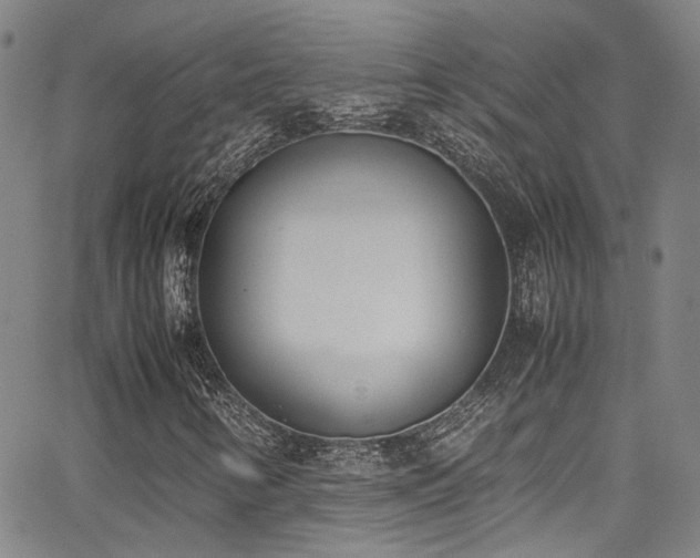 X0000062871346200601131431