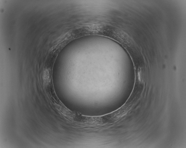 X0000062871347200601131431