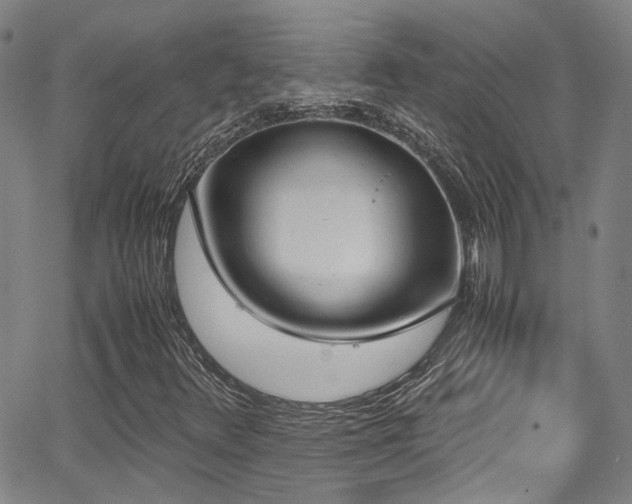 X0000062871348200601131431