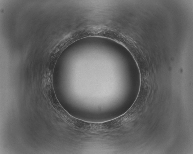 X0000062871349200601131431