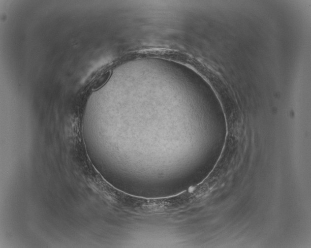 X0000062871351200601131431