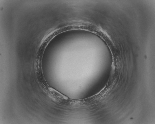 X0000062871352200601131431