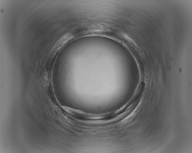 X0000062871353200601131431