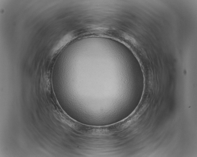 X0000062871354200601131431