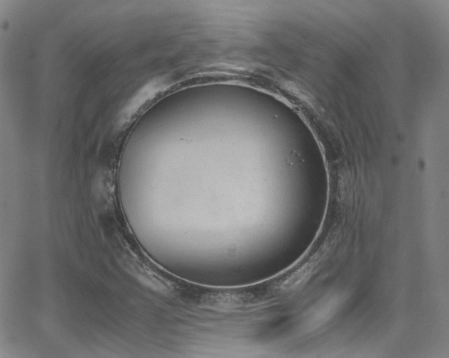 X0000062871355200601131430