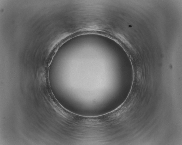 X0000062871356200601131430