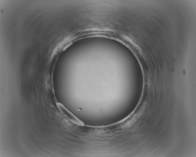 X0000062871357200601131430