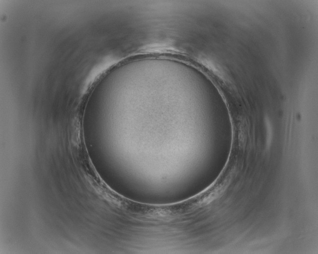 X0000062871358200601131430