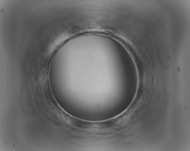 X0000062871359200601131430