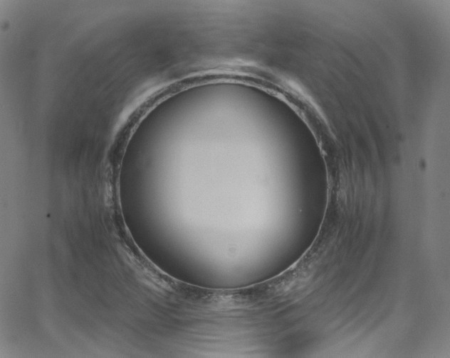 X0000062871360200601131430