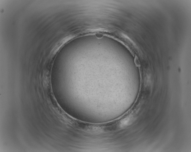 X0000062871361200601131430