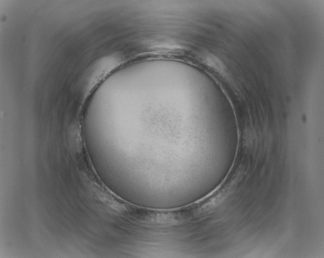 X0000062871362200601131430