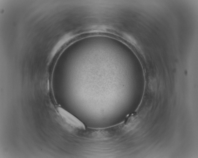 X0000062871368200601131430