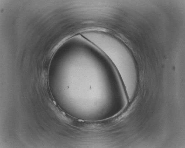 X0000062871369200601131430