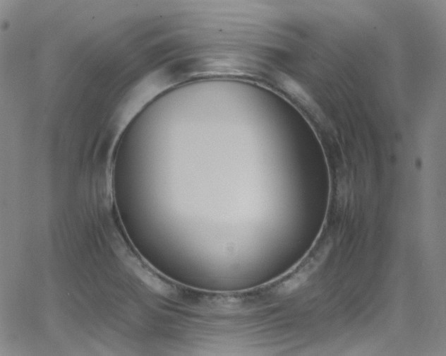 X0000062871370200601131430