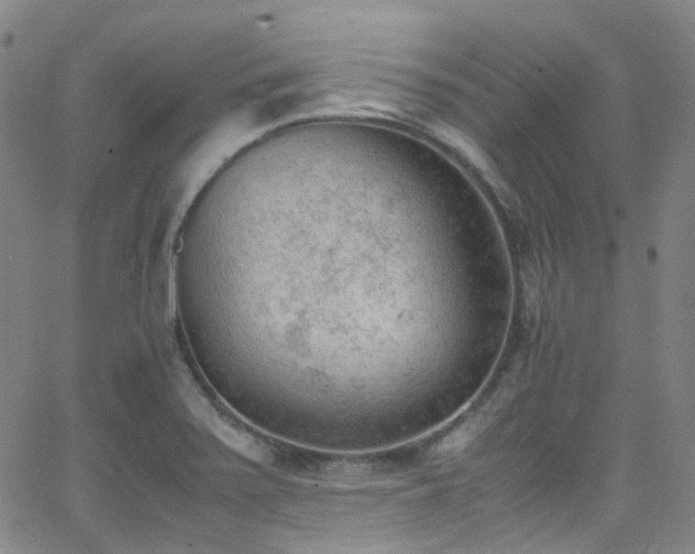 X0000062871371200601131430