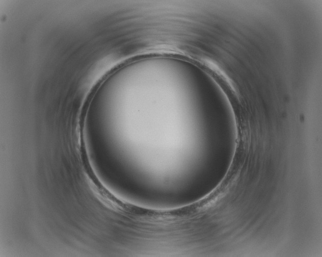 X0000062871372200601131430