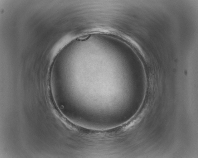 X0000062871373200601131430