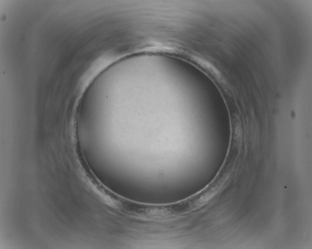 X0000062871375200601131430