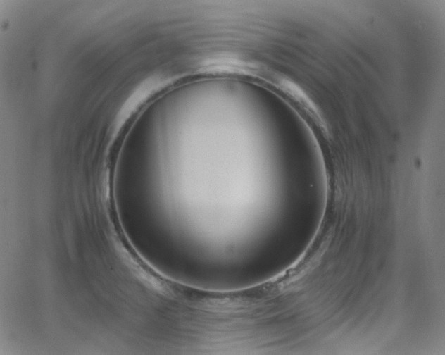 X0000062871376200601131430