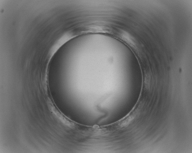 X0000062871378200601131430