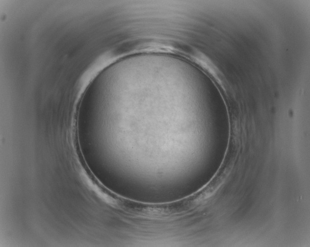 X0000062871379200601131430