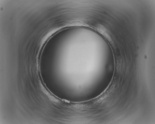 X0000062871380200601131430