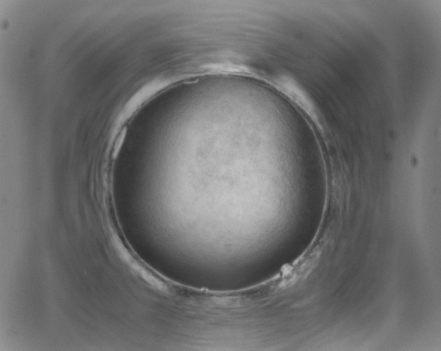 X0000062871381200601131430