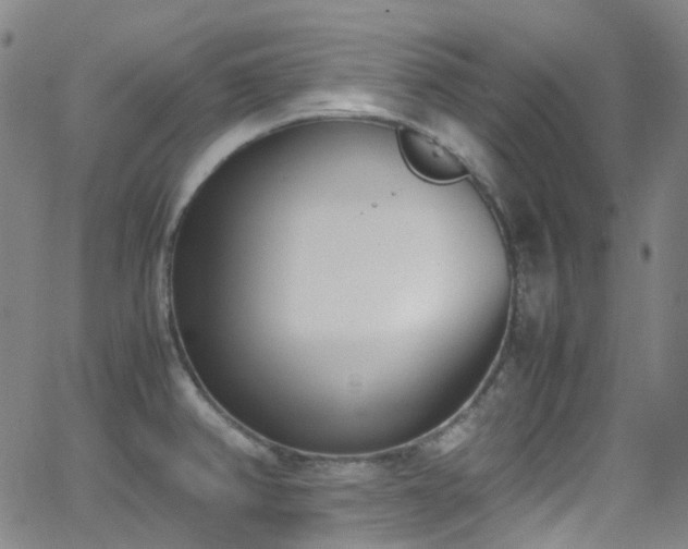 X0000062871382200601131430