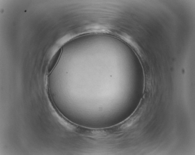 X0000062871383200601131430