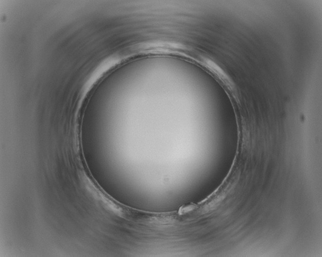 X0000062871384200601131430