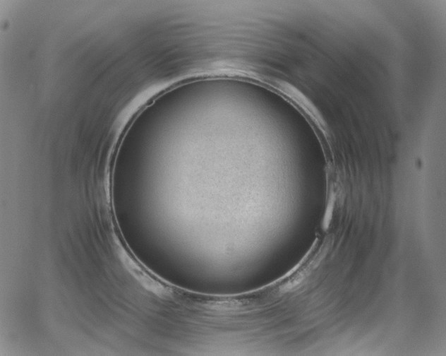 X0000062871388200601131430