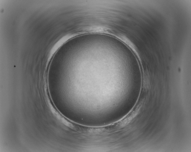 X0000062871389200601131430