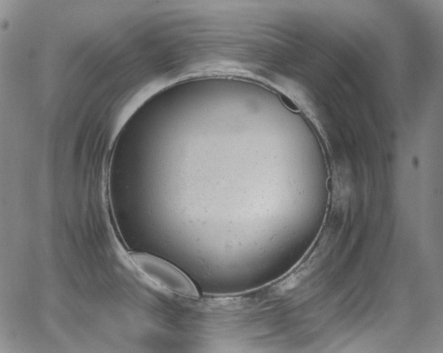 X0000062871390200601131430