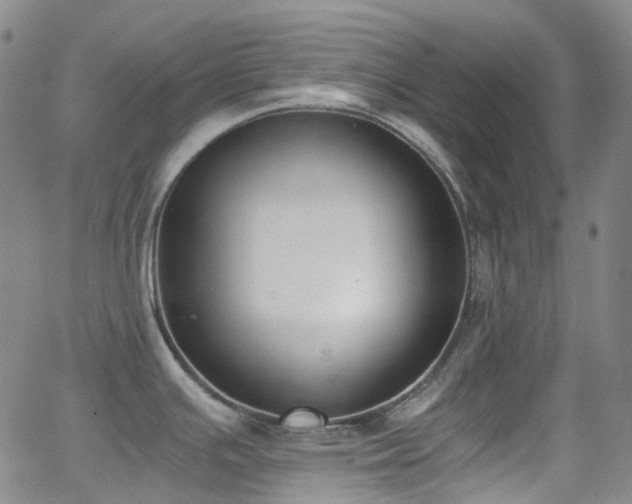 X0000062871391200601131430