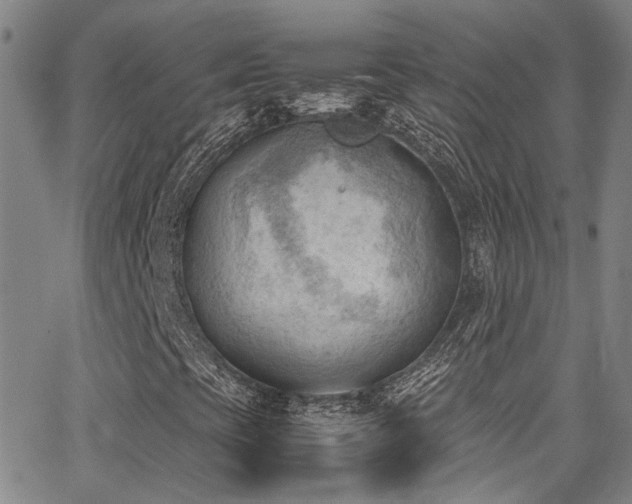 X0000062871393200601131429