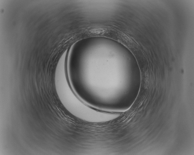 X0000062871394200601131429