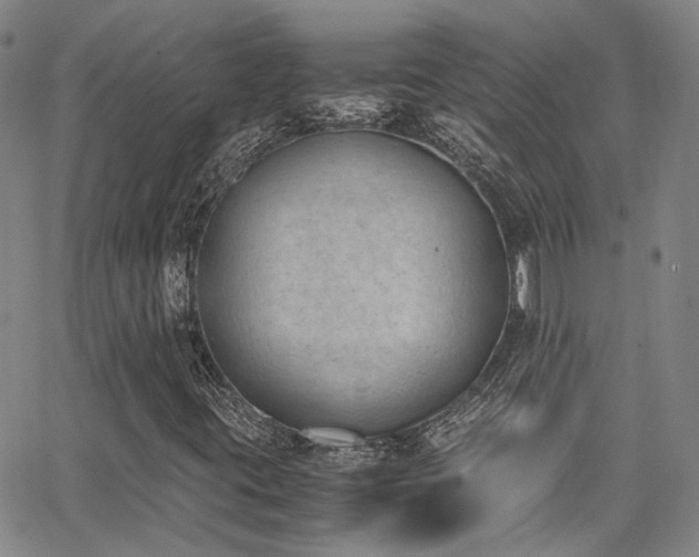 X0000062871395200601131429