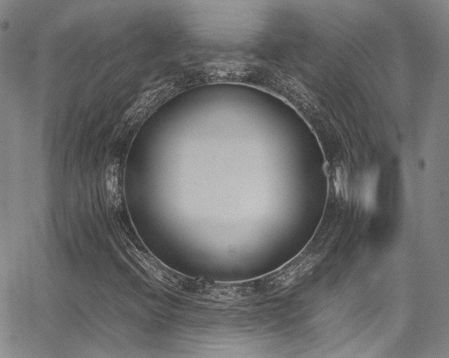 X0000062871396200601131429