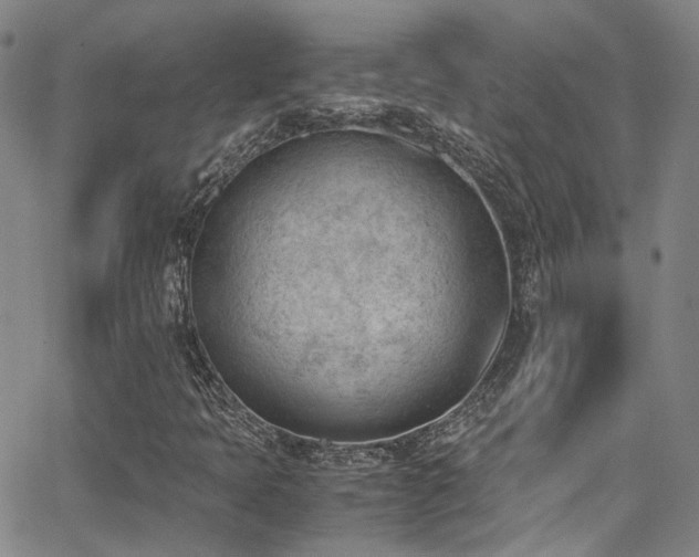 X0000062871397200601131429