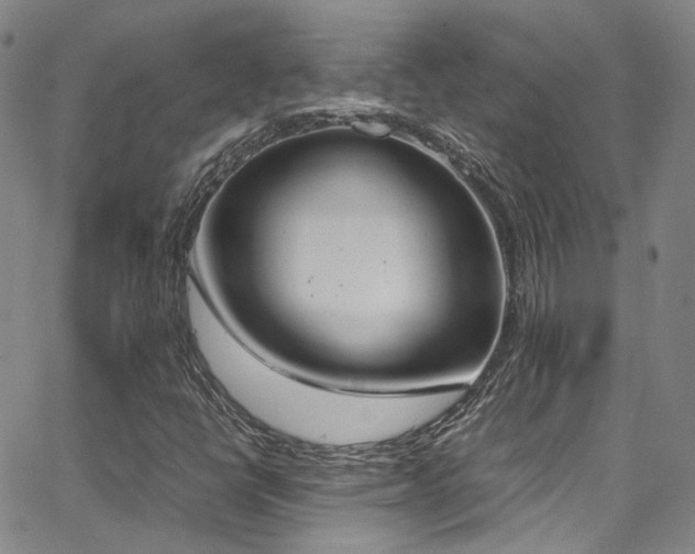 X0000062871398200601131429