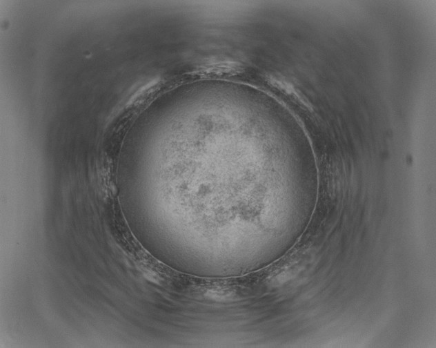 X0000062871399200601131429