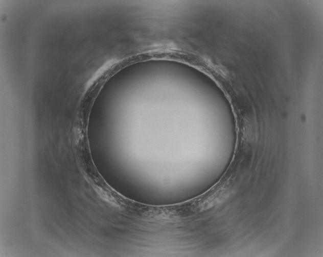 X0000062871400200601131429