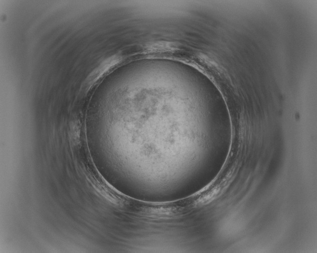 X0000062871401200601131429