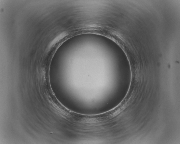 X0000062871402200601131429