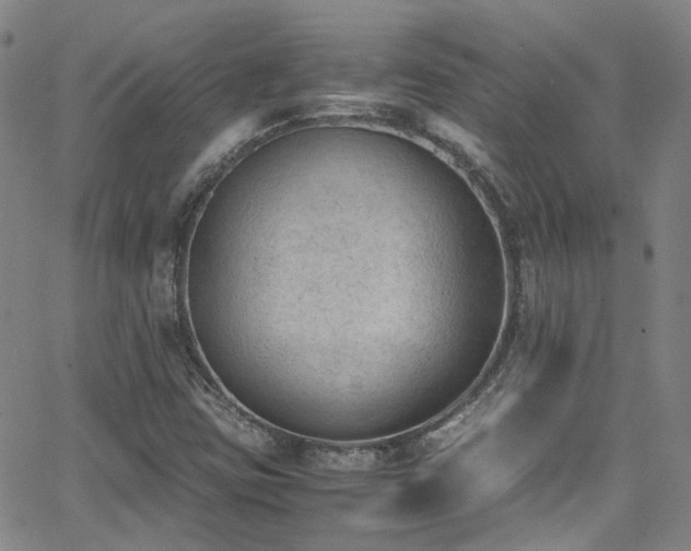 X0000062871403200601131429