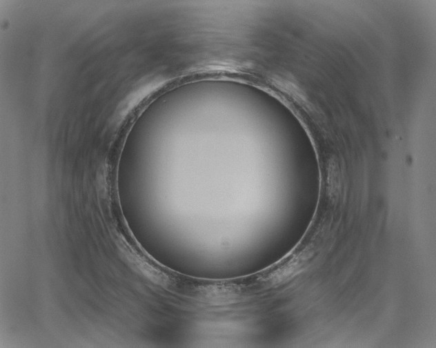 X0000062871404200601131429