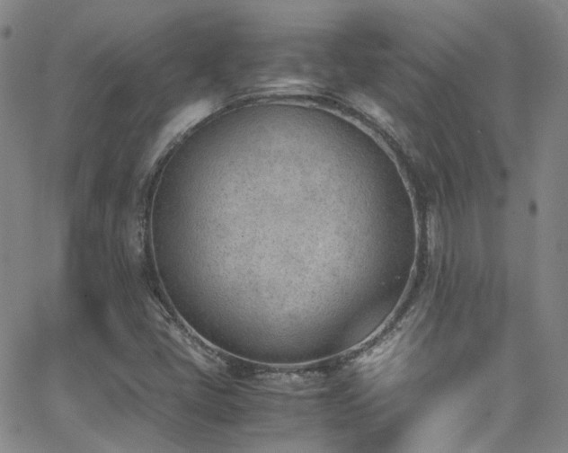 X0000062871405200601131429