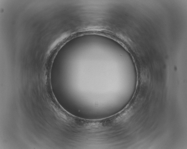 X0000062871406200601131429