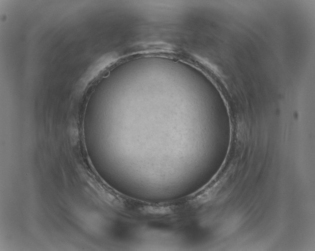 X0000062871407200601131429